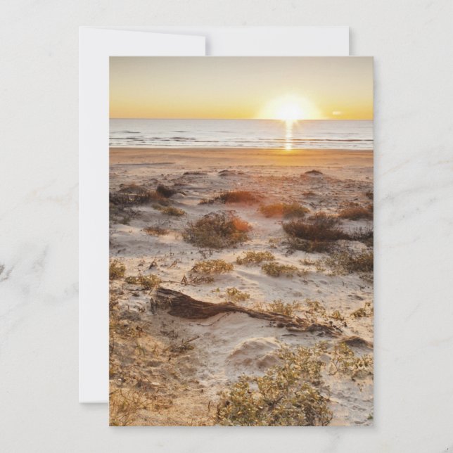 Malaquite Beach Sand Dunes (Frente)