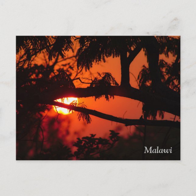 Malawi, África — Cartão postal sunset (Frente)