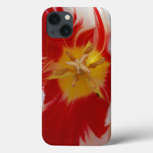 Maldito iPhone / iPad