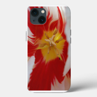 Maldito iPhone / iPad