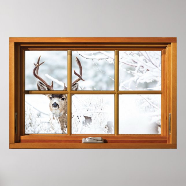Male Deer in The Snow Window Illusion Poster (Frente)