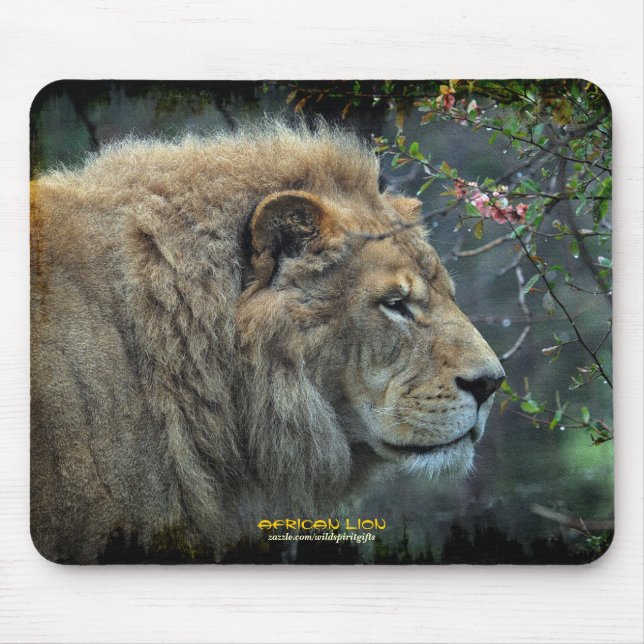 Male Lion Big Cat Wildlife-lover Photo Mousepad (Frente)