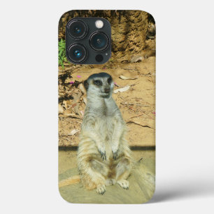 Maleta Meerkat nº 1 iPhone 13 Pro