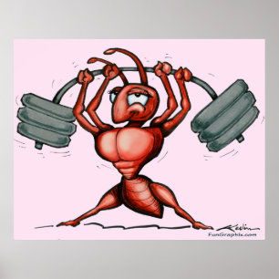 Malhação Diva Poster