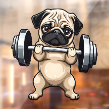Malhação Pug