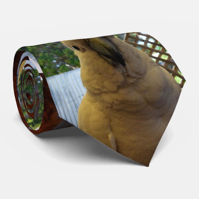 Malicioso bote austral branco, gravata (Rolled)