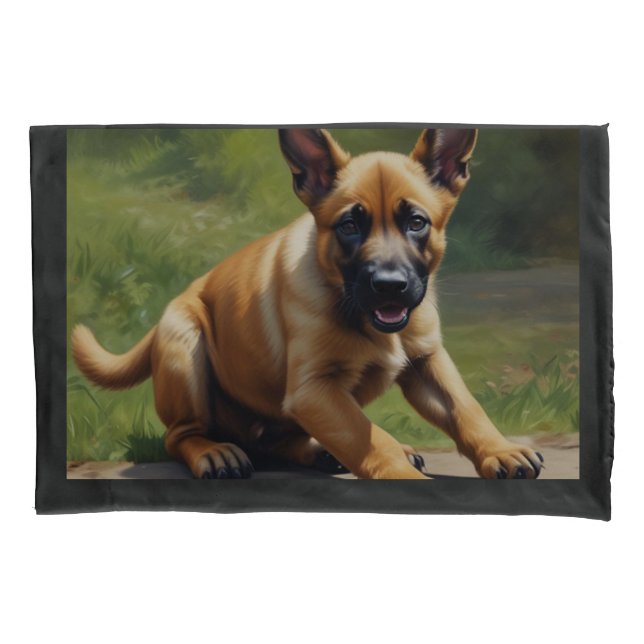 Malinois belgas (Frente)