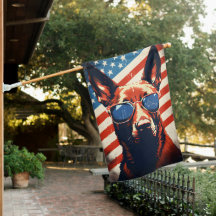 Malinois belgas: 4° dia da Independência de julho