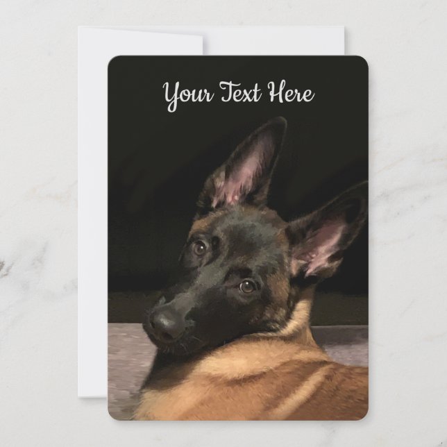 Malinois Dog (Frente)