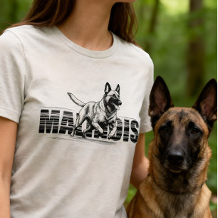 Malinois - pastor belga - Mecelaar