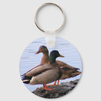 Mallard Chaveiro