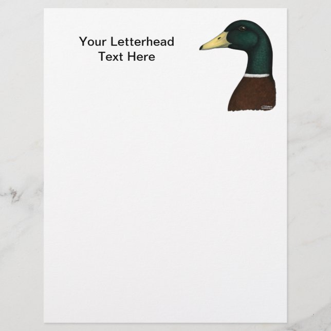 Mallard Drake Head (Frente)