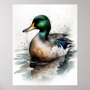Mallard Duck Bird Art Poster