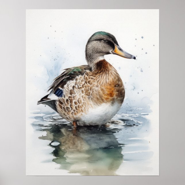 Mallard Duck Bird Art Poster (Frente)