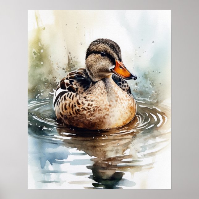 Mallard Duck Bird Art Poster (Frente)