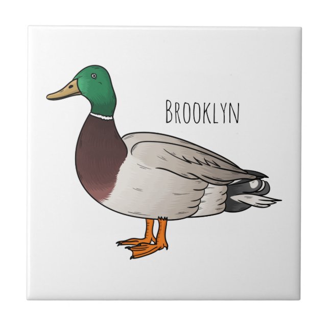 Mallard duck cartoon illustration (Frente)