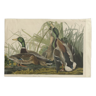 Mallard Duck do Pássaro da América de Audubon