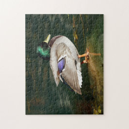 Mallard Duck Quebra-cabeça