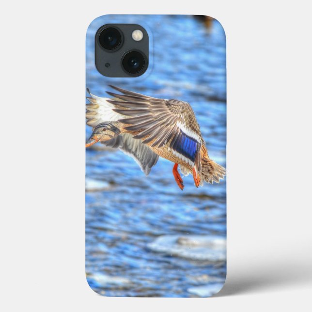 Mallard Duck Wildlife Foto para amantes de aves (Verso)