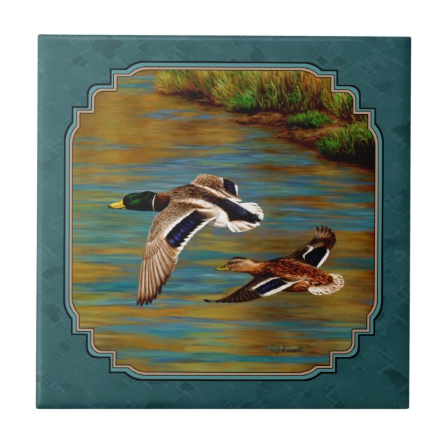 Mallard Ducks em Teal de Voo (Frente)