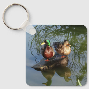 Mallard Ducks nº 2 Chaveiro