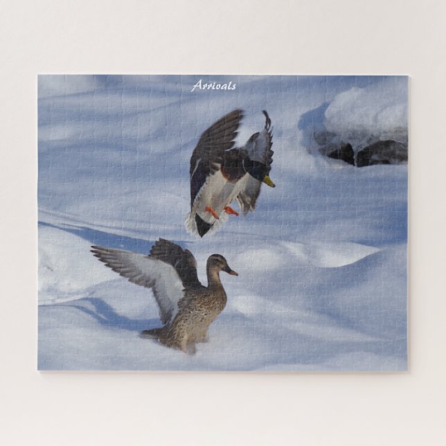 Mallard Ducks Partirá Quebra-cabeça de Jigserra (Horizontal)