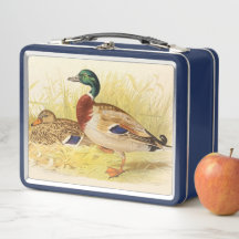 Mallard Duts Metal Lunchbox