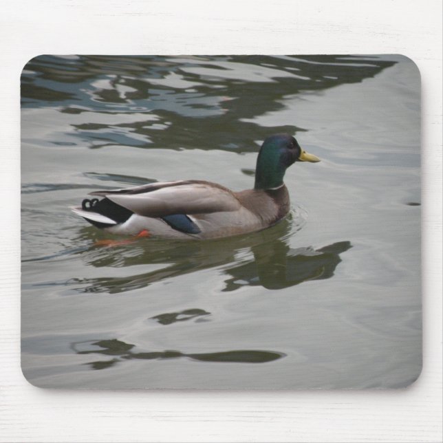 Mallard Mousepad (Frente)