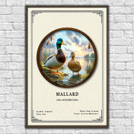Mallard Zoology Series Poster