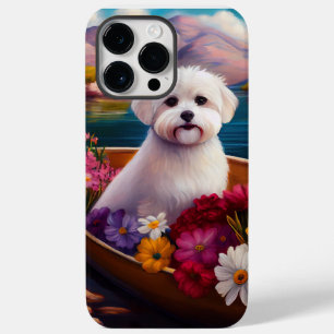 Maltês em um remo: Uma aventura cênica