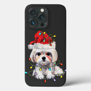 Maltês - Natal, Xmas Maltês - Cão Maltês