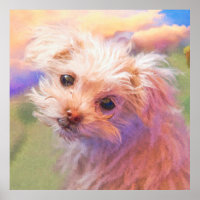 Maltês Rescut Puppy Day 1 "THE WEE ONE" Poster