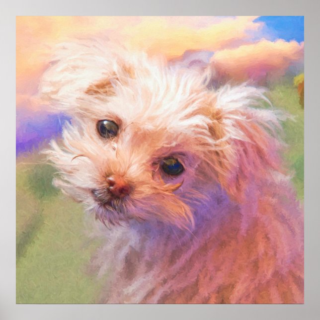 Maltês Rescut Puppy Day 1 "THE WEE ONE" Poster (Frente)