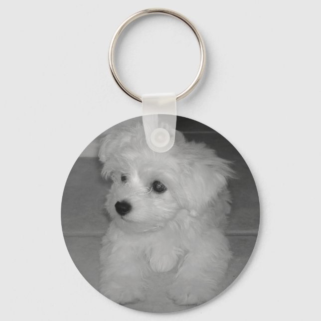 Maltipoo Chaveiro (Frente)