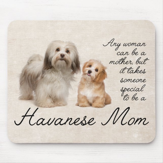 Mamã Mousepad de Havanese (Frente)