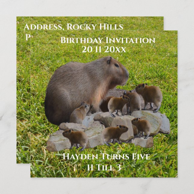 Mamãe E Baby Capybaras, Convite De Aniversário (Frente/Verso)