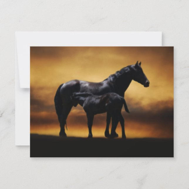 Mamãe e Baby Colt (Frente)