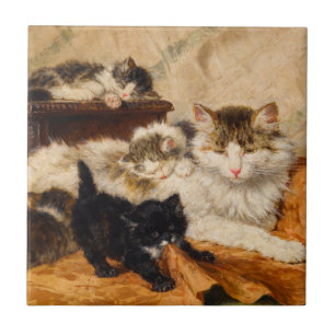 Mamãe e Seus Gatinhos