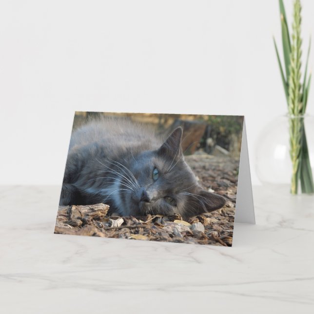 Mamãe é um Adorável Cartão de Dia de as mães de Ga (Frente)