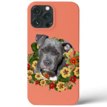 Mamãe floral pitbull