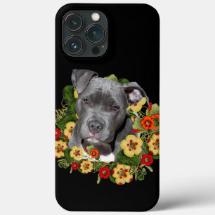 Mamãe floral pitbull