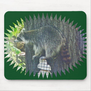 Mamãe Raccoon em Suet Mousepad