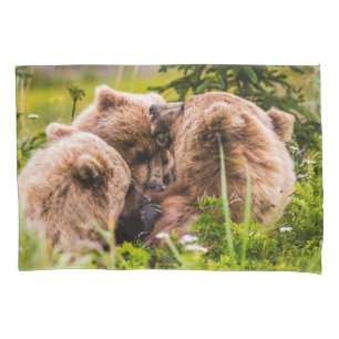 Mamãe urso cuidando de seus dois filhotes, Lago Cl