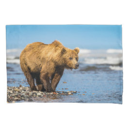 Mamãe urso observando seus dois filhos