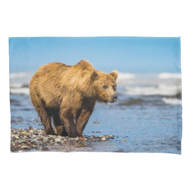 Mamãe urso observando seus dois filhos (Frente)