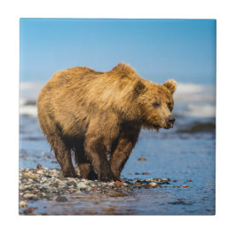 Mamãe urso observando seus dois filhos