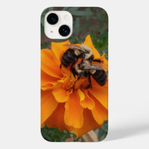 Mamangabas na Flor Marigold