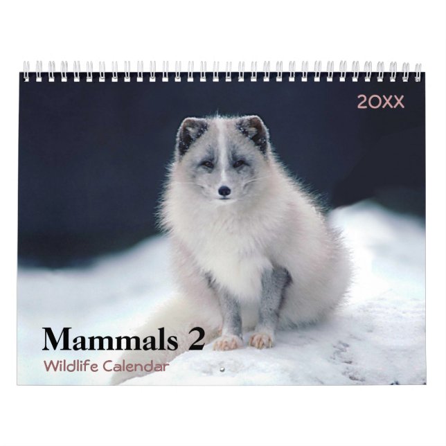 Mamíferos 2 Vida Selvagem 2021 Calendário (Capa)