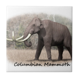 Mammoth Columbian