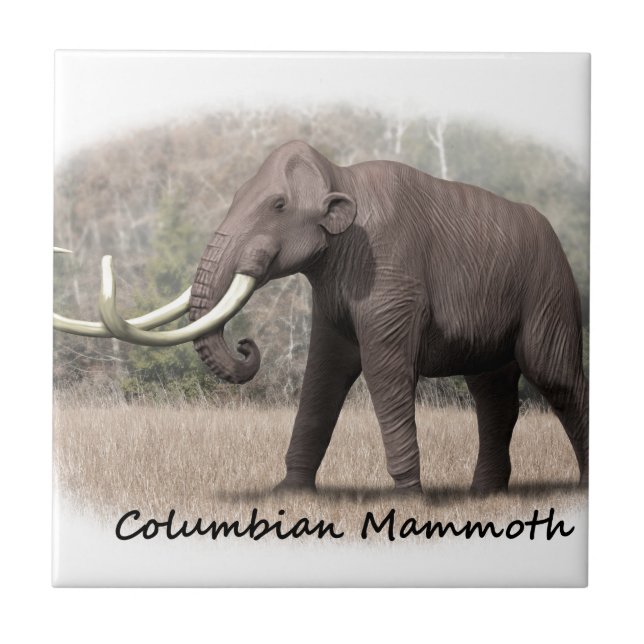 Mammoth Columbian (Frente)